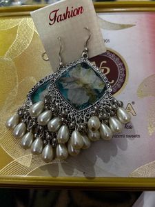 resin fancy earrings