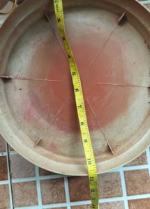 Set Of 6 Planter Plate