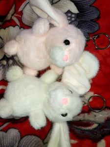 🐇Pink and white Bunny Plush Keychains🐰🥕