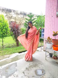 Banarasi Saree Zari