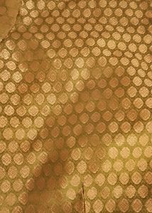 Designer Blouse