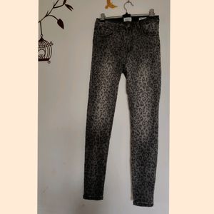 Imported Animal Print pant