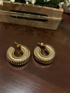 Chic Gold Hoop Earrings