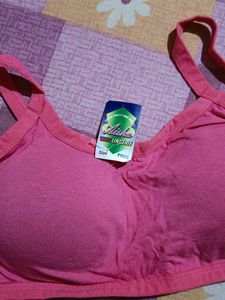 Rose Pink Bra