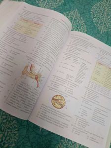 Mtg Fingertips Biology