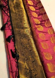 Elegant Red &amp; Gold Saree