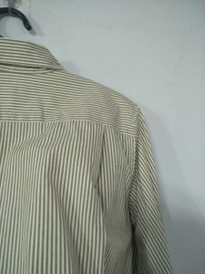 UNIQLO Pinstripe Shirt