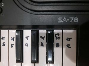 Casio SA-77