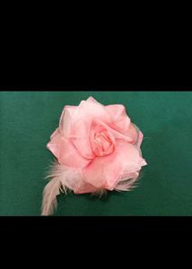 🎀2 Cute Accessories🎀