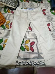 Pant For gents