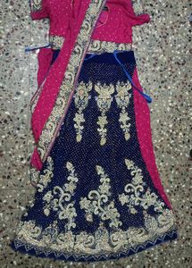 Embroidered Lehenga Choli
