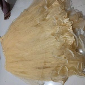 Elegant Lehenga Choli Set
