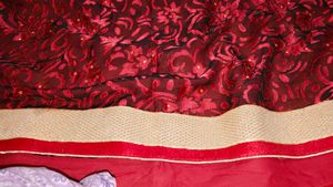Elegant Red Saree