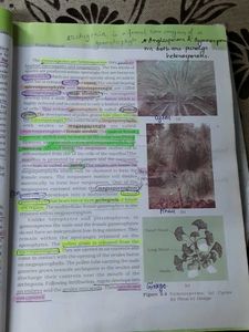 Class-XI Ncert Books
