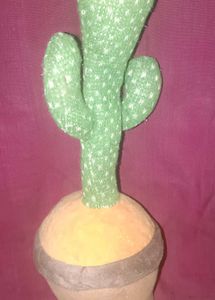 Singing Nd Dancing Cactus
