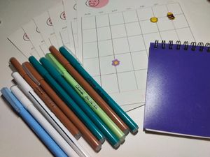 Jewelry &amp; Hair Combo, Keychains, Ball Pens, 5 Monthly Planner, Handmade Bracelet