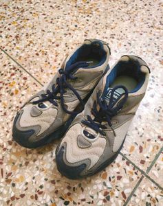 Sparx Shoes For Men, Women, Kids Size : 08