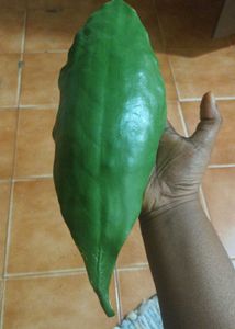 Green Trinket
