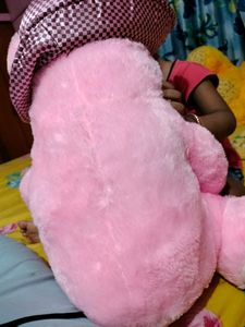 Big Size Teddy