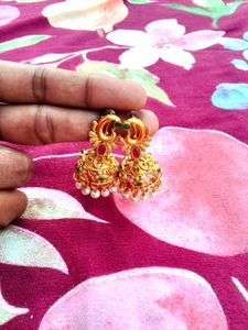 Multi Colour Earrings
