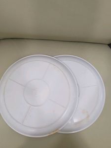 Floral Dinner Plates (Set of 2) In Peaceful White