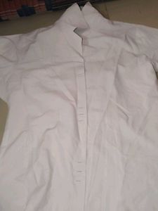 Classic White Shirt
