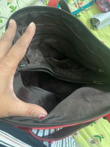Baggit Hand Bag