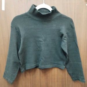 Turtleneck Crop Top