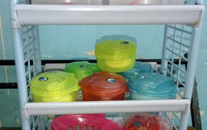 Fish Shaped Soap Holders