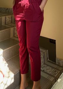 Trouser Pant