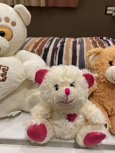 Teddy Bear Collection