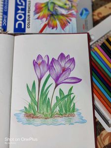 Floral Sketch