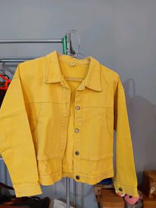 Korean Yellow Jacket 💛