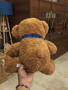 Cute Brown Teddy Bear with Blue Scarf