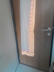 Elegant Ethnic Dupatta