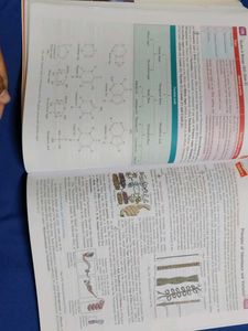 Studies in Biology - Class XII, English version