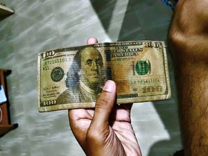 Novelty 100 Dollar Bill Wallet