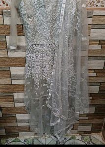 Elegant Net Gown