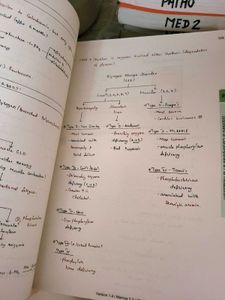 marrow notes