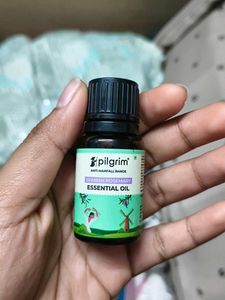 Pilgrim Rosemary Essential Oil