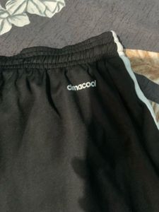 Adidas Shorts