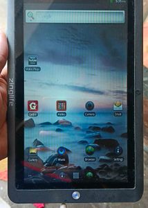 Zinglife Tablet
