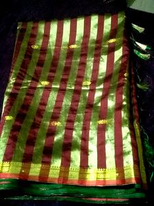 Vivo Vandini Saree