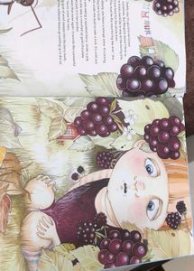 The Lillabo Express Children&#39;s Book