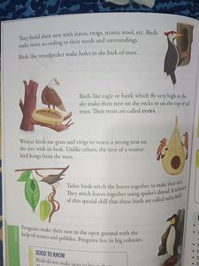 Class 3 Combined Book