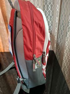 Skybags Bagpack