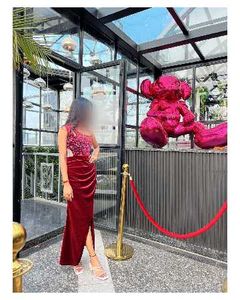 Elegant Maroon Velvet Dress