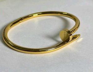Cartier Juste Un Clou Bracelet