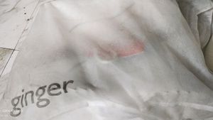 Ginger White Sneakers