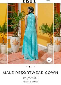 Daywear Dress / Gown